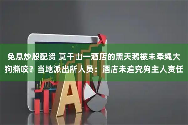 免息炒股配资 莫干山一酒店的黑天鹅被未牵绳大狗撕咬？当地派出所人员：酒店未追究狗主人责任