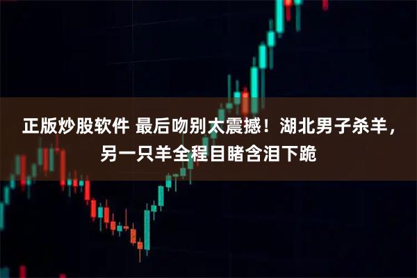 正版炒股软件 最后吻别太震撼！湖北男子杀羊，另一只羊全程目睹含泪下跪